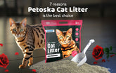7 reasons Petoska cat litter is the best choice
